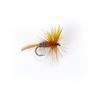 Gapen Dark Cahill Dry Fly