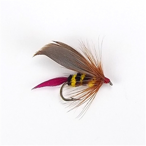 Gapen Weighted Bee Wet Fly